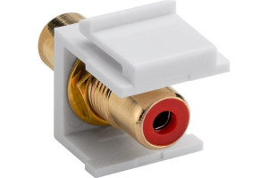 Keystone standardsystem Keystone kontakt RCA hona - hona Rödmarkerad