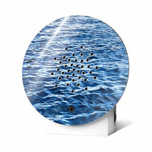 Oceanbox, Meeresrauschen und Möwenrufe, der Ozean um die Ecke