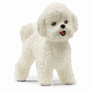 Schleich Bichon Frisé - 13963 -  Farm World