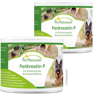 PerNaturam® Pankreatin P - 2 x 100 g Sparpack