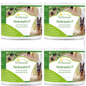 PerNaturam® Pankreatin P - 4  x 100 g Sparpack