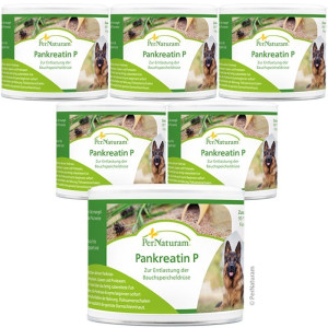 PerNaturam® Pankreatin P - 6  x 100 g Sparpack