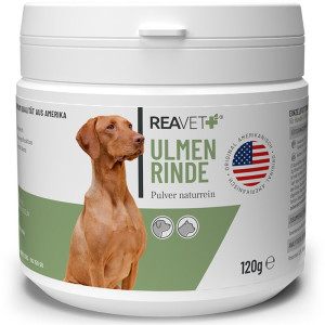 ReaVET® Ulmenrinde Pulver für Hunde - 120 g