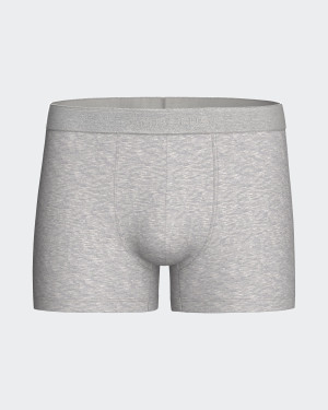 IMPETUS Boxer de homem Executive CINZENTO (L)