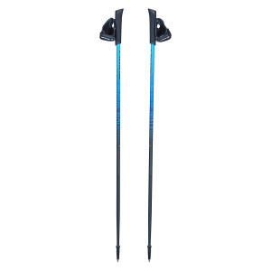Kije do nordic walking Viking Pro Trainer 650207879