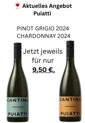 Cantina Puiatti Puiatti 2024