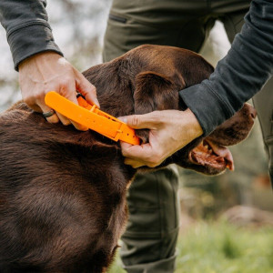 HP&G Hundehalsband 19 mm Orange