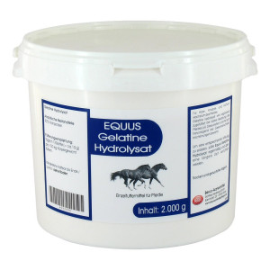 Gelatine Hydrolysat Equus Pulver veterinär