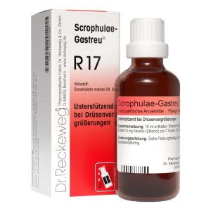 Scrophulae Gastreu R 17 Tropfen zum Einnehmen