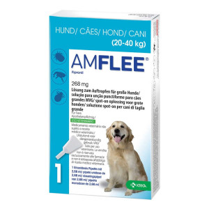 Amflee 268 mg Lösung zur, zum Auftropfen für grosse Hunde