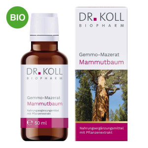 Gemmo Mazerat Mammutbaum Doktor koll Sequoia Gigantea