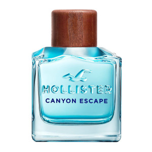 Hollister Canyon Escape Homme