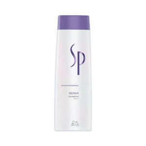 SP Bain Repair