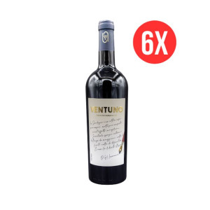 Vigne Centro Sardegna 6 Bottiglie Ventuno Isola dei Nuraghi IGT 2024 (6 x 75 cl) (bottiglia 75 cl)