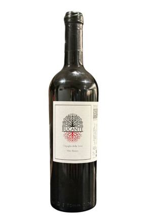 MP Sardinia Bucante 2024 (bottiglia 75 cl)