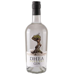 Gin Terranova DHEA Hops Dry Gin - BIG (bottiglia 70 cl)
