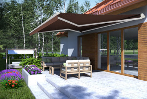 Markiza Tarasowa na wymiar GRANDE Robusta