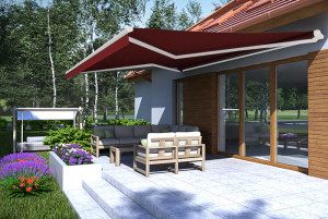 Markiza Tarasowa na wymiar GRANDE Burgund