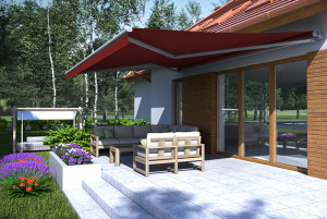 Markiza Tarasowa na wymiar GRANDE Burgund