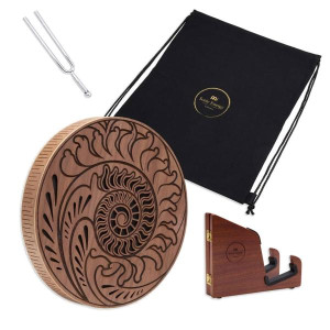 Meinl Sonic Energy Rain Disk 10 Zoll Ozean-Klang mit Stimmgabel