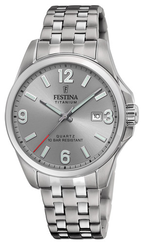 Festina Titanium F20696/2