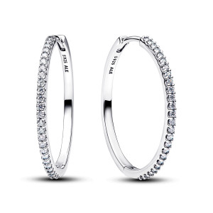 Pandora Timeless korvakorut 294650C01