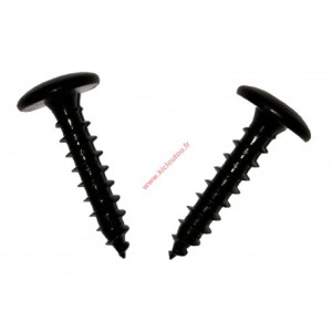 Stafa Multiplus Vis penture étoile 7X50 AZI NOIR Tête Large Boite de 200
