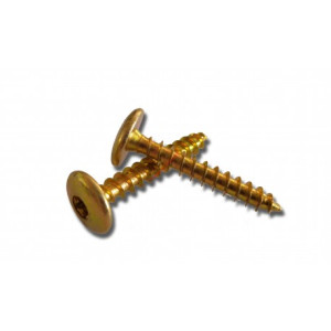 Stafa Multiplus Vis penture étoile 6X30 Bichro Tête Large Boite de 200