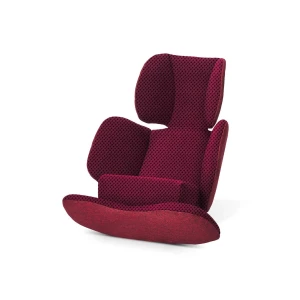 Avionaut Stardust Newborn Insert - Red