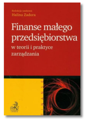 FINANSE MAŁEGO PRZEDSIĘBIORSTWA ZADORA NOWA