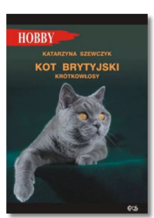 KOT BRYTYJSKI KRÓTKOWŁOSY KATARZYNA SZEWCZYK NOWA