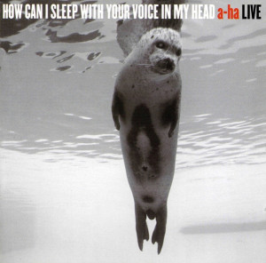 A-HA LIVE HOW CAN I SLEEP WITH VOICE IN MY HEAD CD X 2 FOREVER DRAGONFLY