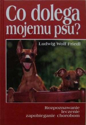 CO DOLEGA MOJEMU PSU L WOLF FRIEDL
