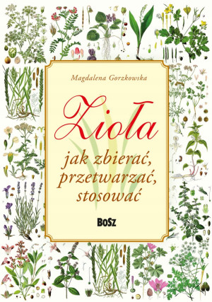 ZIOŁA JAK ZBIERAĆ STOSOWAĆ M. GORZKOWSKA