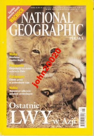 NATIONAL GEOGRAPHIC 6/2001.WĄCHOCK,LWY,NUBIA
