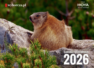 KALENDARZ PRZYRODNICZY 2026 ADAM WAJRAK ŚWISTAK
