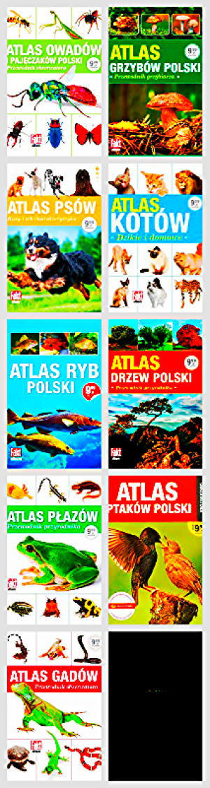 ANIOŁY ŚMIERCI.DVD.JOHNSON