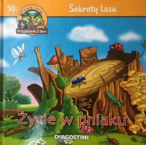 ŻYCIE W PNIAKU SEKRETY LASU