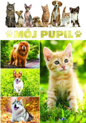 MÓJ PUPIL OPRACOWANIE ZBIOROWE STR 224