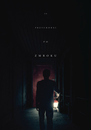 TO PRZYCHODZI PO ZMROKU DVD