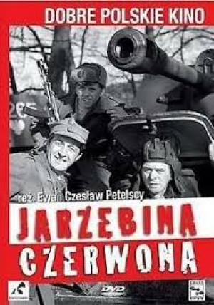 JARZĘBINA CZERWONA DVD KOTYS KOWALSKI PAK