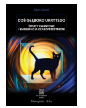 COŚ GŁĘBOKO UKRYTEGO SEAN CARROLL