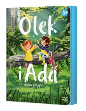 PAKIET OLEK I ADA POZIOM B+ SZEŚCIOLATKI