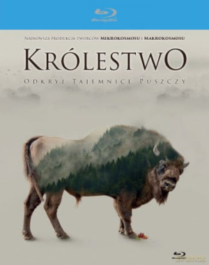 KRÓLESTWO BLU RAY TREGUY
