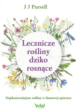 LECZNICZE ROŚLINY DZIKO ROSNĄCE