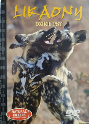 LIKAONY DZIKIE PSY NATURAL KILERS DVD