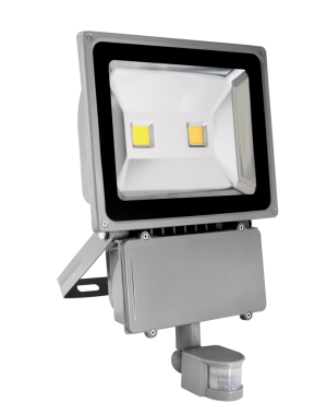 Naświetlacz szary PIR LED 2xCOB, HOME LINE, 70W, 4900 lm, 3000K czujka ruchu i zmierzchu - EcoEnergy ( dostępne 3 szt. )