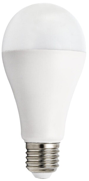 20W 4000K barwa dzienna E27 SMD-LED A65 GLS