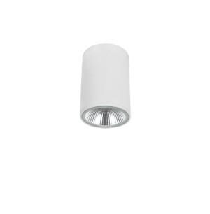 Dermot biały LED COB 10W 3000K UGR