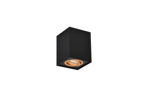 BISCUIT - Sufitowe oczko natynkowe 1xGU10 - kolor czarny